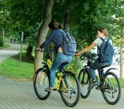 Движение велосипедов во дворах
