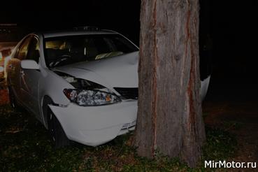 Автомобиль въехал в дерево или оно упало на машину – что делать, кто виноват и считается ли это ДТП?